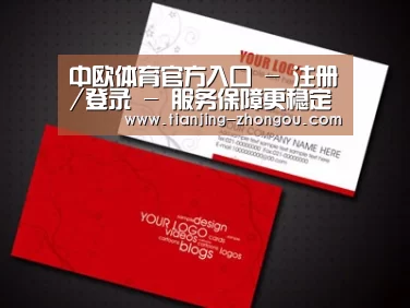 项目名称八
