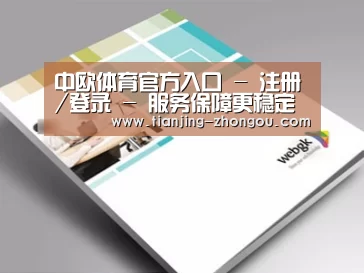 项目名称九