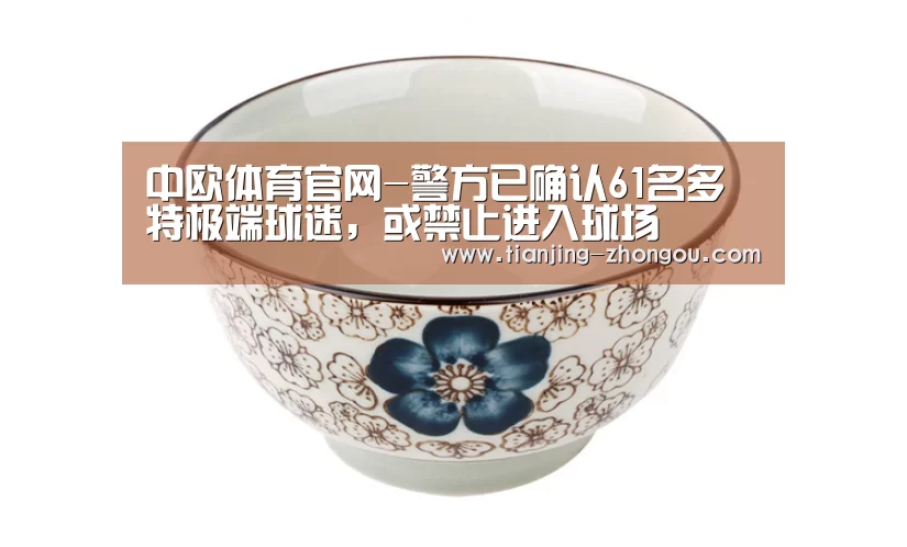 中欧体育官网-警方已确认61名多特极端球迷,或禁止进入球场(图3) 中欧体育app